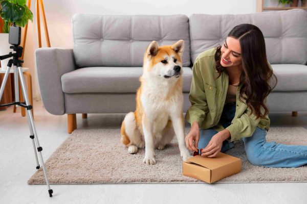 How Structured Care Creates Security for Pets